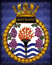 HMS Bacchante Magnet